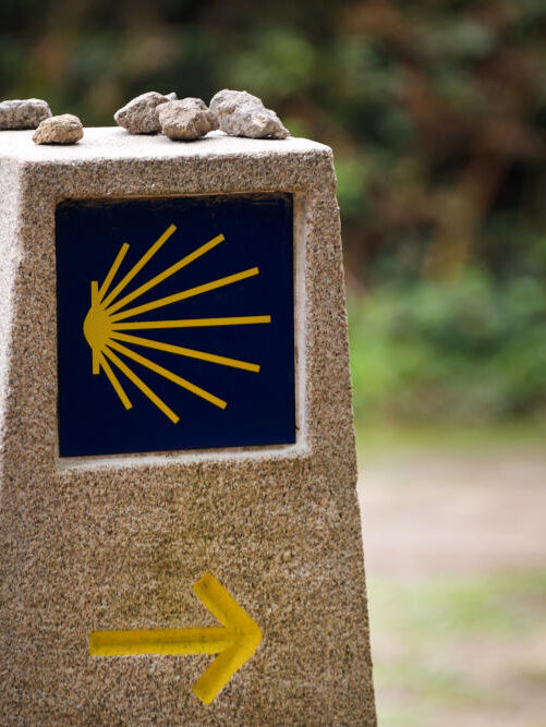Yellow scallop shell, touristic symbol of the Camino de Santiago showing direction on Camino Norte in Spain. Column signing the way to Santiago De Compostela on the St James pilgrimage route. flecha Camino Santiago